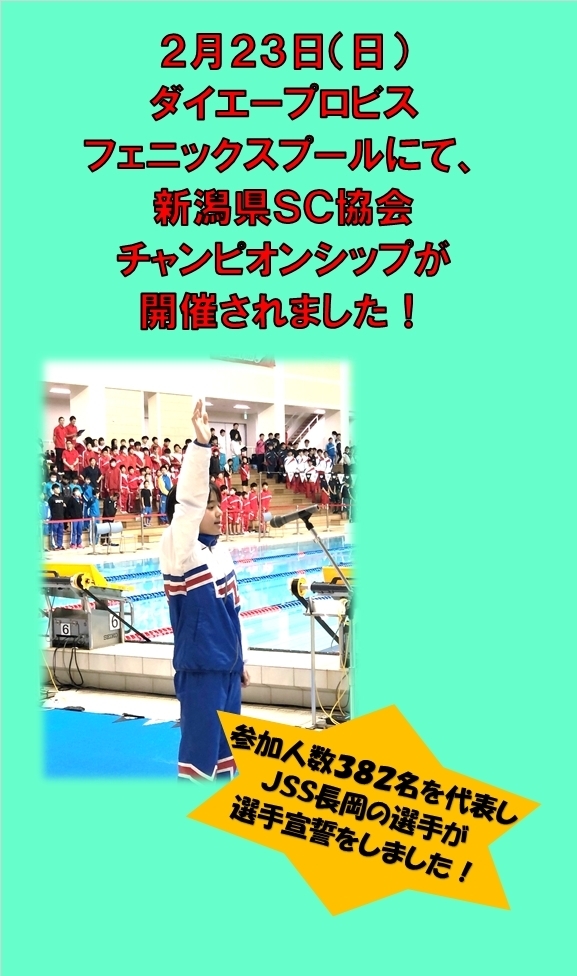 選手の活躍 公式 ｊｓｓ長岡スイミングスクール